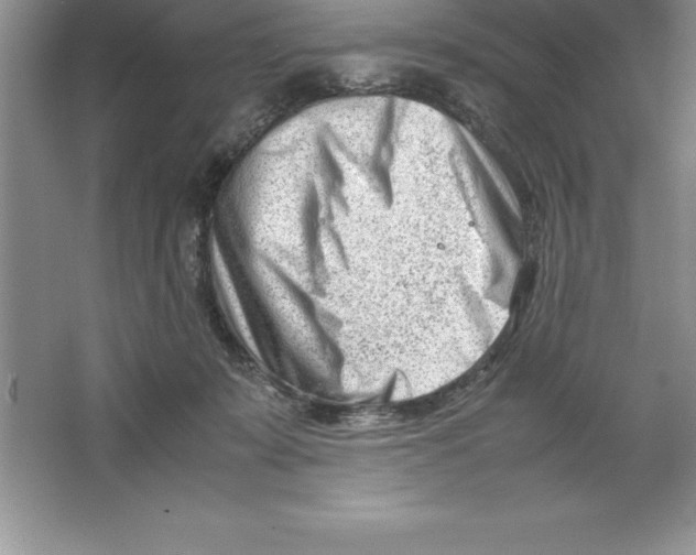 X0000064750319200603031740