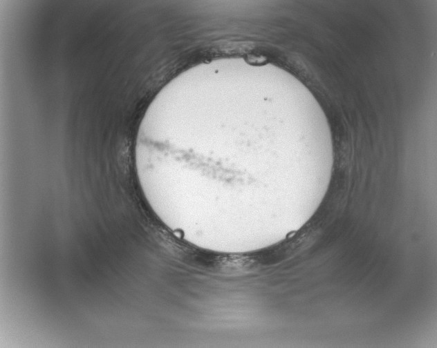 X0000064750321200603031740