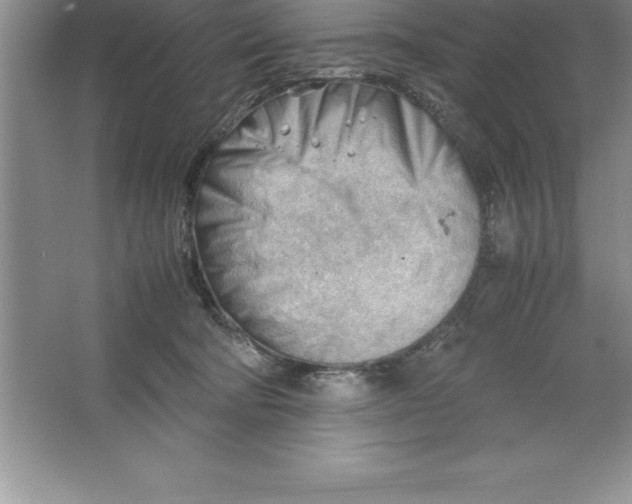 X0000064750322200603031740