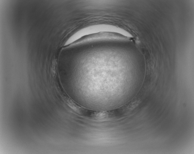 X0000064750325200603031740