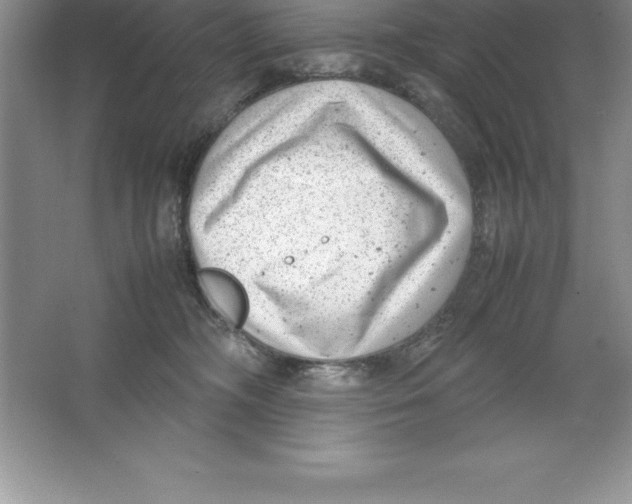 X0000064750326200603031740