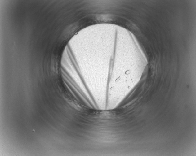 X0000064750330200603031740