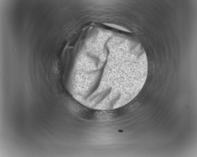 X0000064750331200603031740