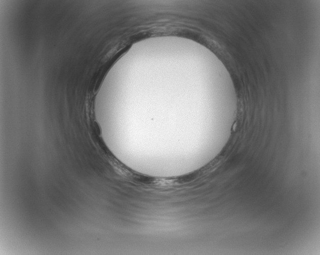 X0000064750333200603031740