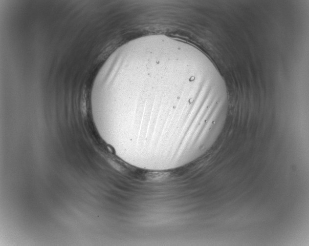 X0000064750334200603031740