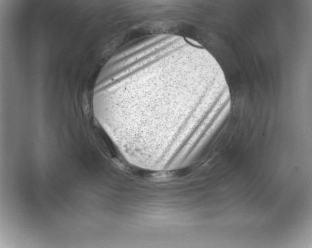 X0000064750335200603031740