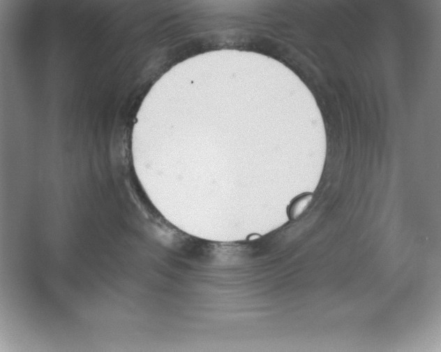 X0000064750336200603031740