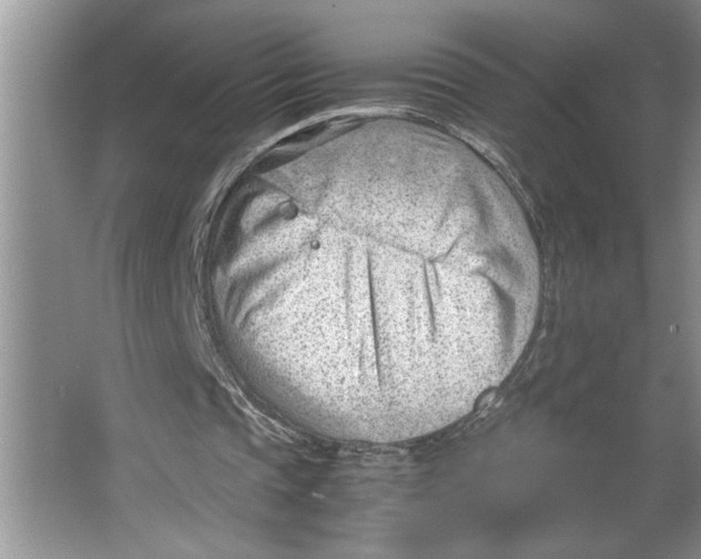 X0000064750337200603031739