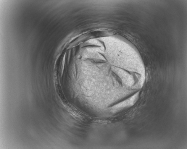 X0000064750339200603031739