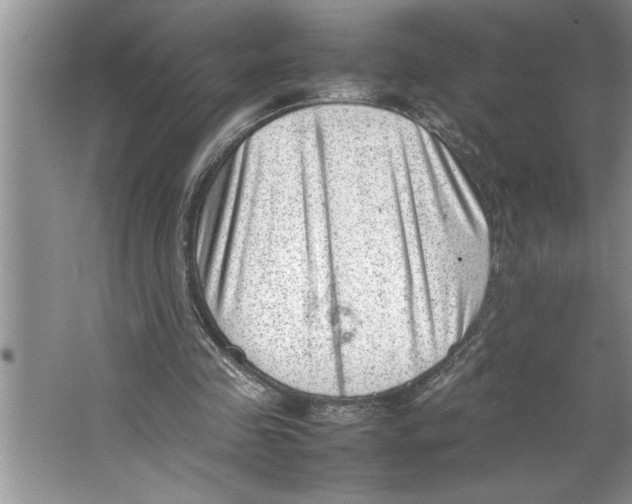 X0000064750341200603031739