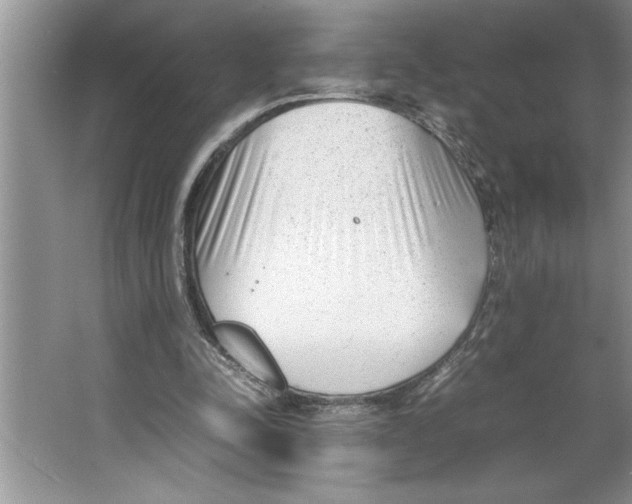 X0000064750342200603031739