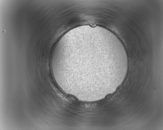 X0000064750345200603031739