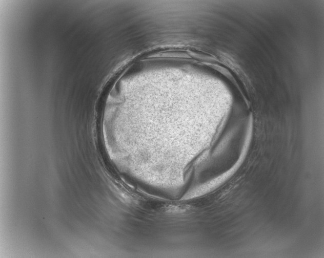 X0000064750346200603031739