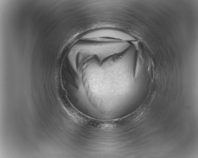 X0000064750352200603031739