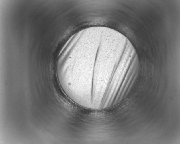 X0000064750354200603031739