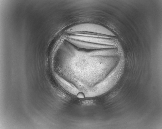 X0000064750355200603031739