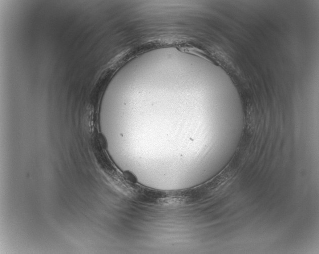 X0000064750356200603031739