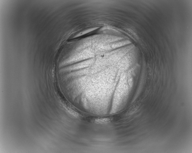 X0000064750357200603031739