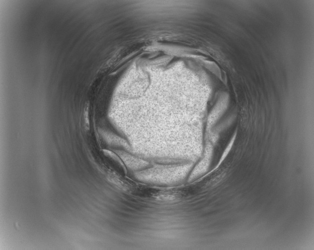 X0000064750358200603031739