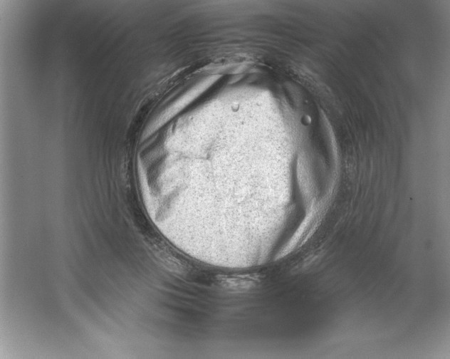 X0000064750359200603031739