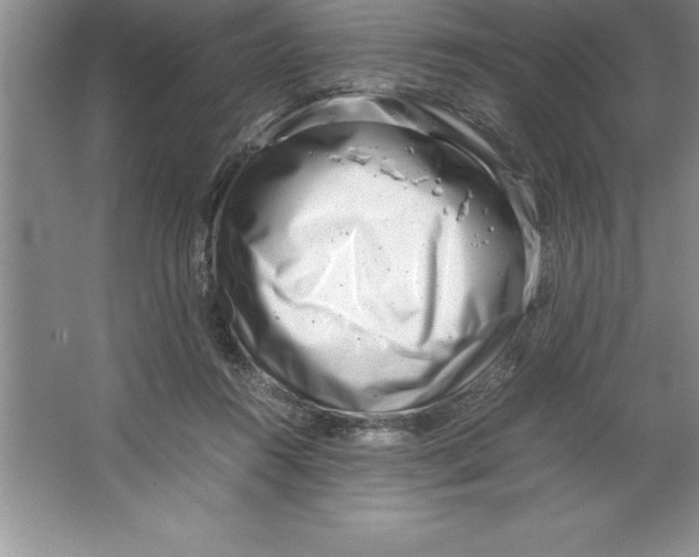 X0000064750360200603031739