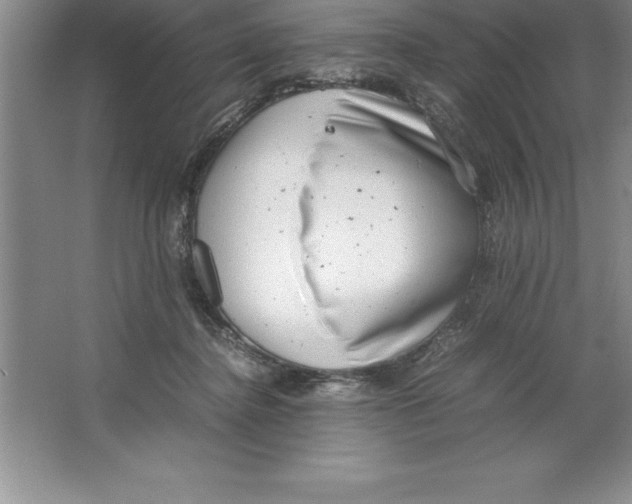 X0000064750364200603031739