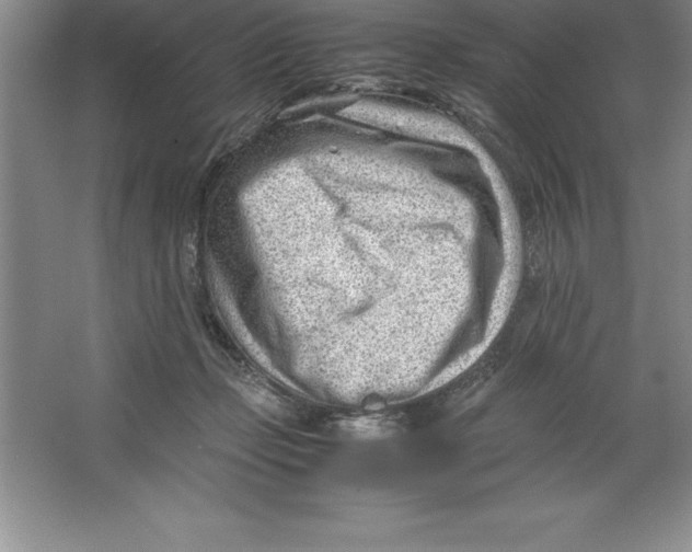 X0000064750365200603031739