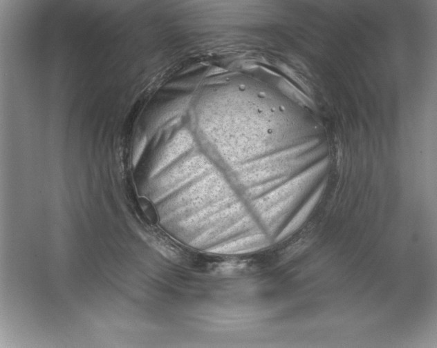 X0000064750366200603031739