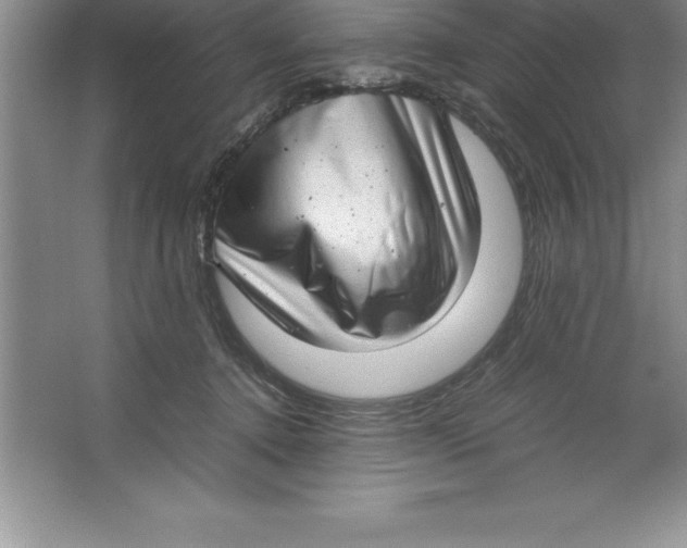 X0000064750368200603031739