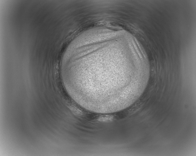 X0000064750369200603031739