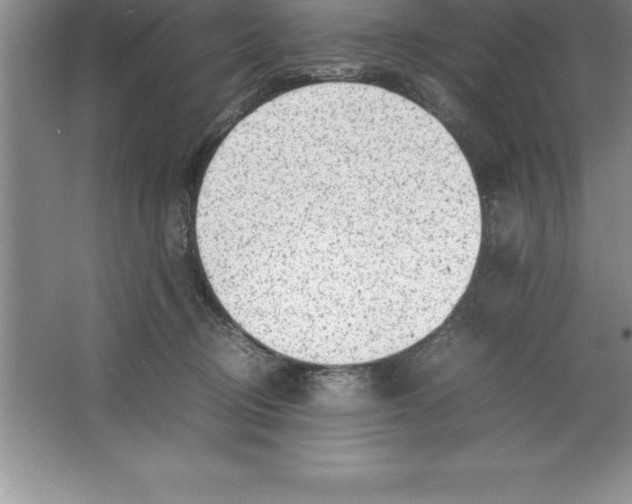 X0000064750370200603031739