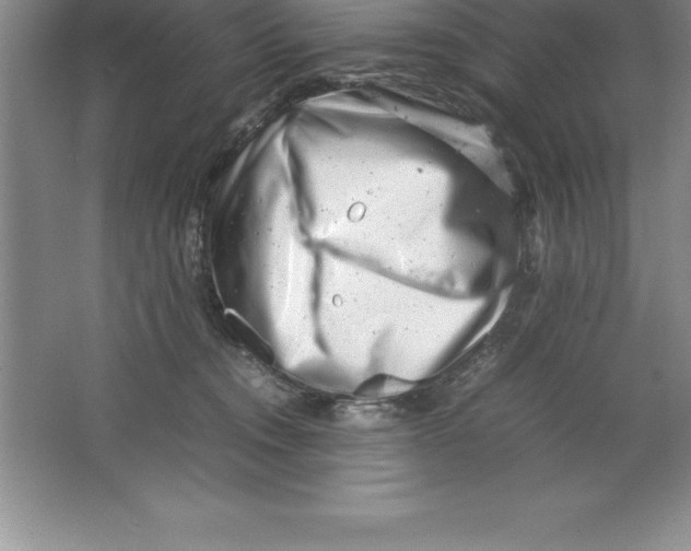 X0000064750372200603031740