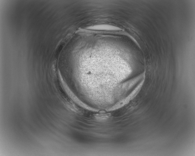 X0000064750373200603031740