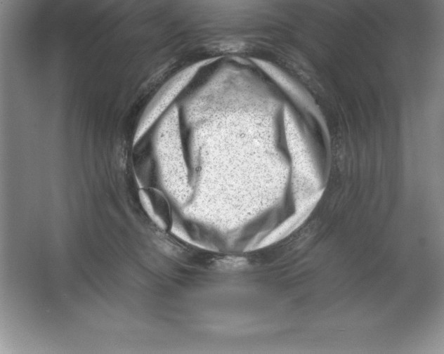 X0000064750374200603031740