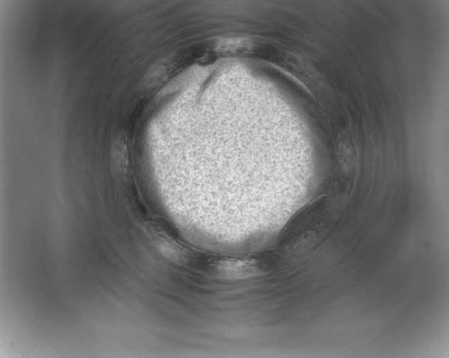 X0000064750375200603031740