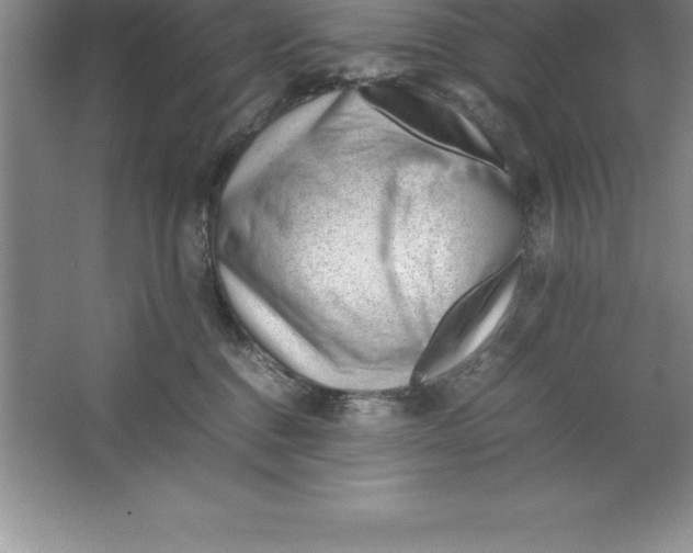 X0000064750376200603031740