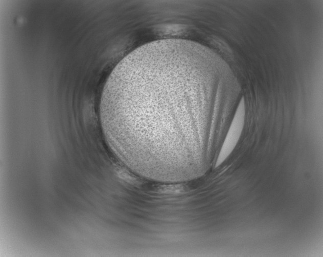 X0000064750377200603031740