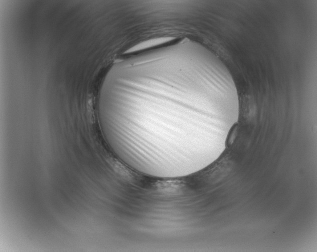 X0000064750378200603031740