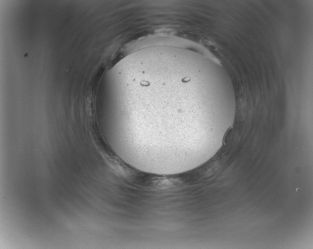 X0000064750379200603031740