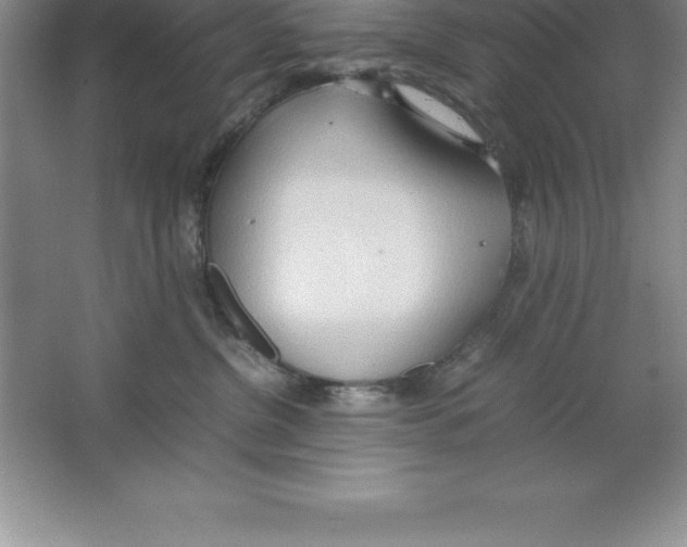 X0000064750380200603031740