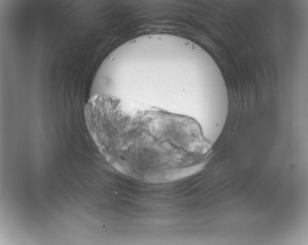 X0000064750381200603031740