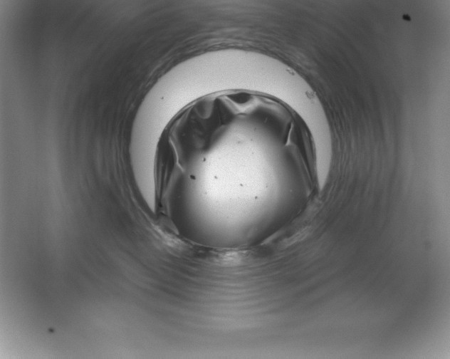 X0000064750382200603031740