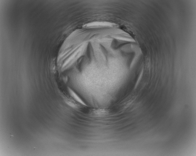 X0000064750383200603031740