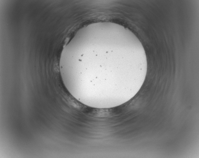 X0000064750384200603031740