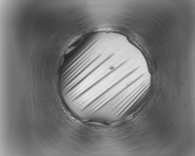 X0000064750385200603031739