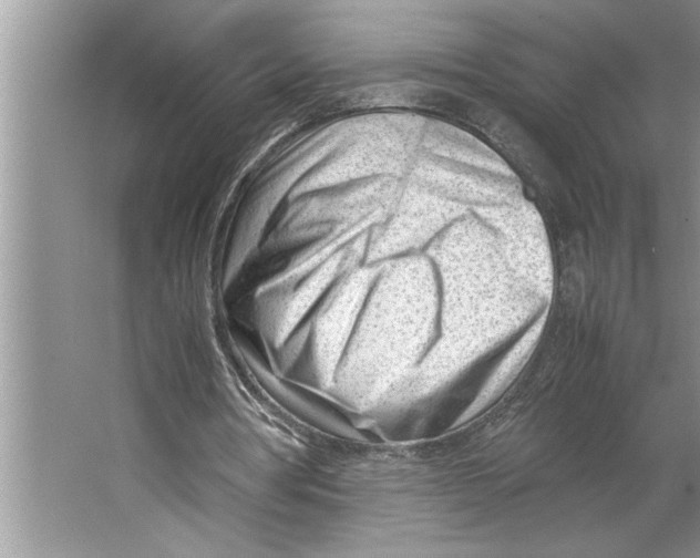 X0000064750386200603031739