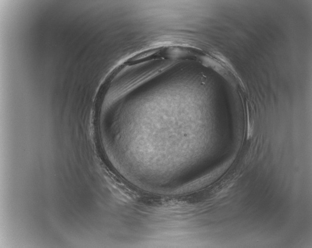 X0000064750387200603031739