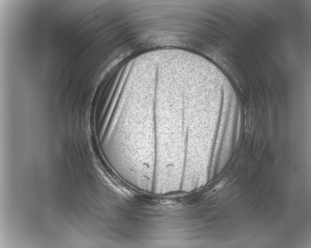 X0000064750390200603031739