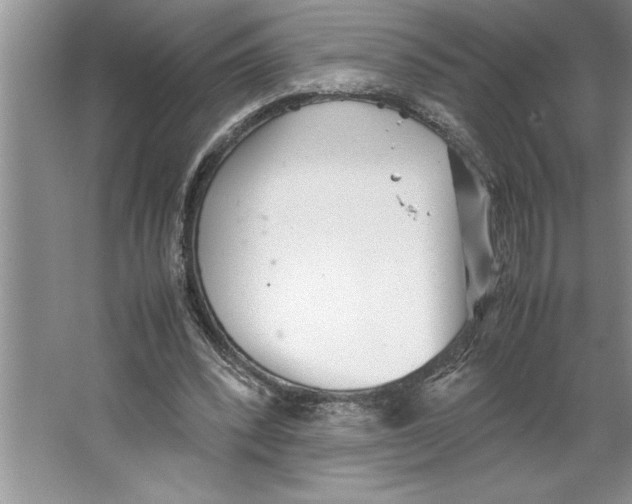 X0000064750392200603031739