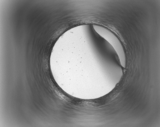 X0000064750393200603031739